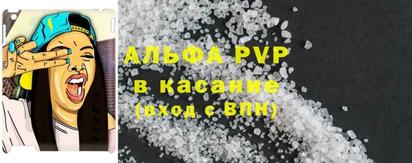 spice Гусев
